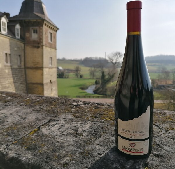 solide Krijger Verantwoordelijk persoon Pinot Noir Grand Cru in de Elzas - Domaine Alsace