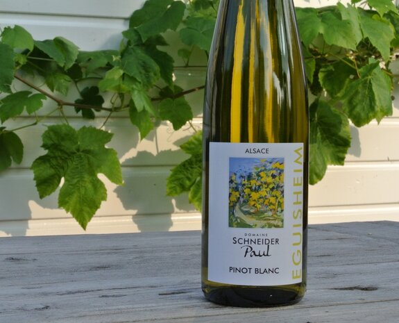 Afbeelding fles Pinot Blanc Paul Schneider
