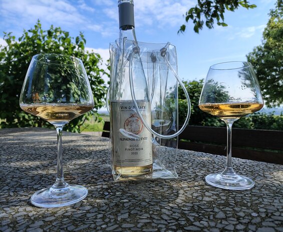 Afbeelding fles Pinot Noir Rose met Icebag