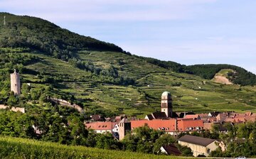 Riesling-Grand-Cru