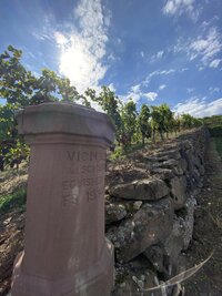 Ontdek de Grand Cru-wijnen van de Elzas: ambacht, karakter en terroir Ontdek de Grand Cru-wijnen van de Elzas: ambacht, karakter en terroir