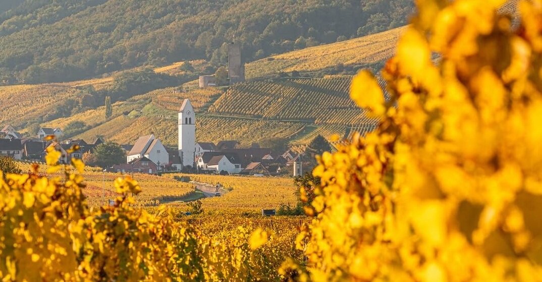 banner-herfst_nl.jpg